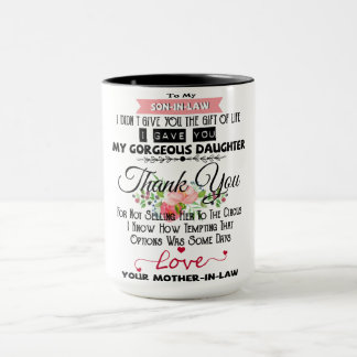 To My Dear Son In Law I Didn't Give You The Gift Mug