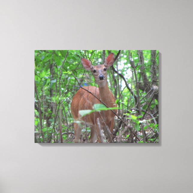"To my deer friend" Canvas Print (Front)