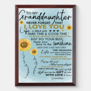 To My Granddaughter Gift, Grandkids Birthday Gift Award Plaque