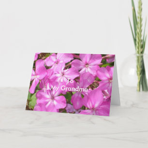To My Grandma Birthday Pretty Pink Flowers Card