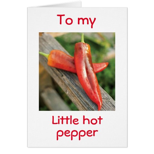 "TO MY HOT PEPPER, HAPPY BIRTHDAY" Zazzle