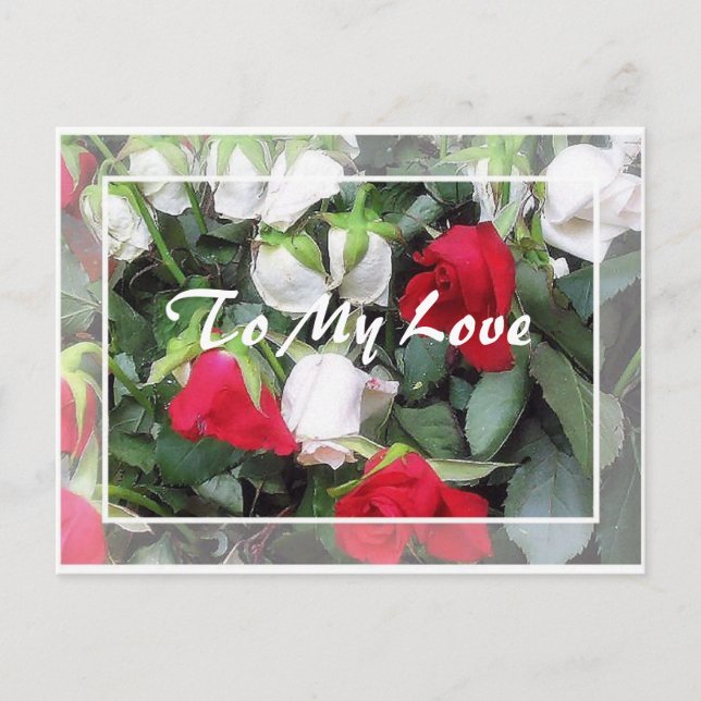 To My Love Postcard (Front)