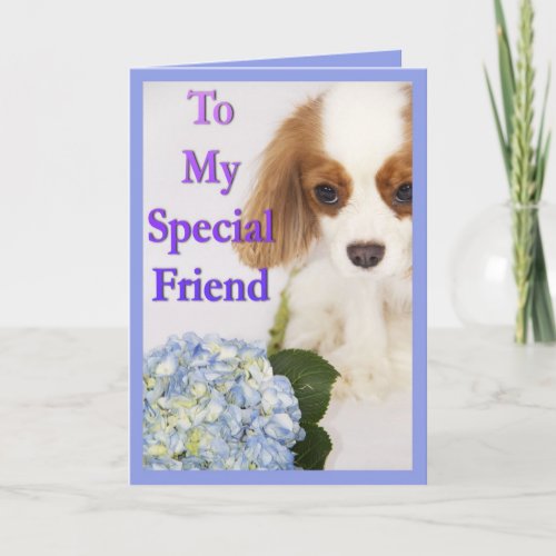 To My Special Friend Cavalier King Charles Spaniel Card