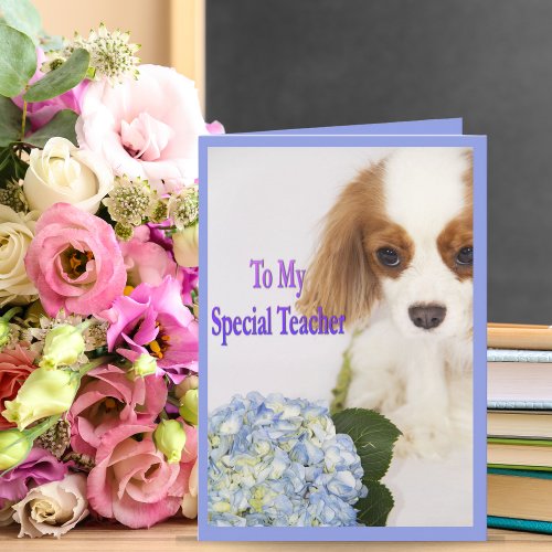 To My Special Teacher Thank You Doggie Card