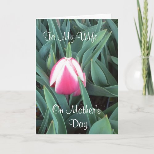 To My Wife On Mothers Day Card