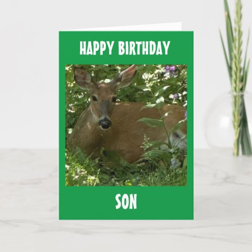TO OUR OR MY SON ON YOUR BIRTHDAY CARD