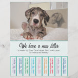 To sell Dane Puppies colorfull Flyer