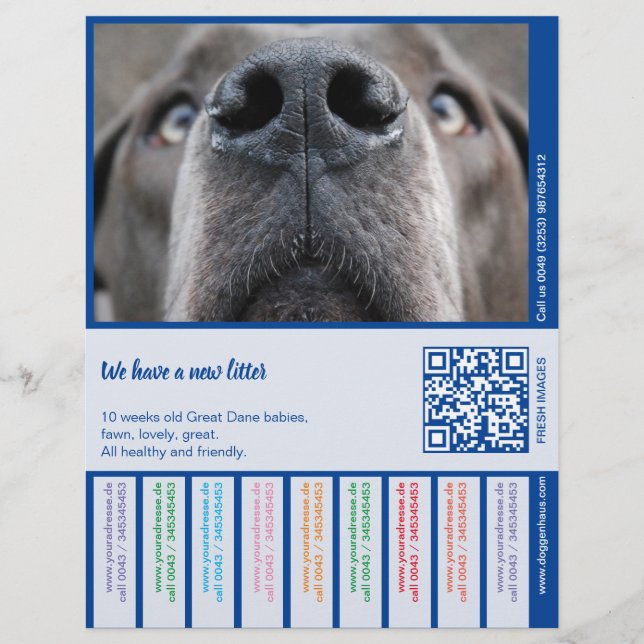 To sell Dane Puppies colorfull Letterhead (Front)