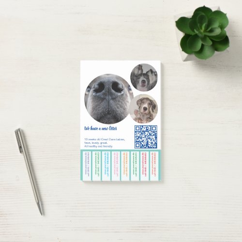 To sell Dane Puppies colorfull Post_it Notes