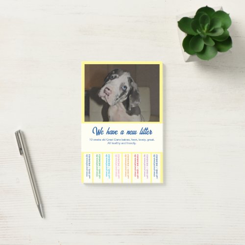 To sell Dane Puppies colorfull Post_it Notes