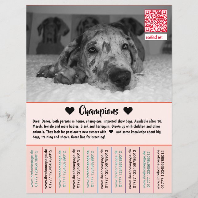 To sell Dane Puppies Flyer (Front)