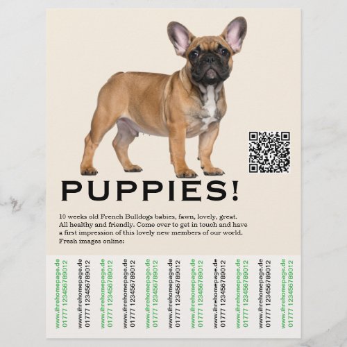 To sell Frenchies Puppy Flyer