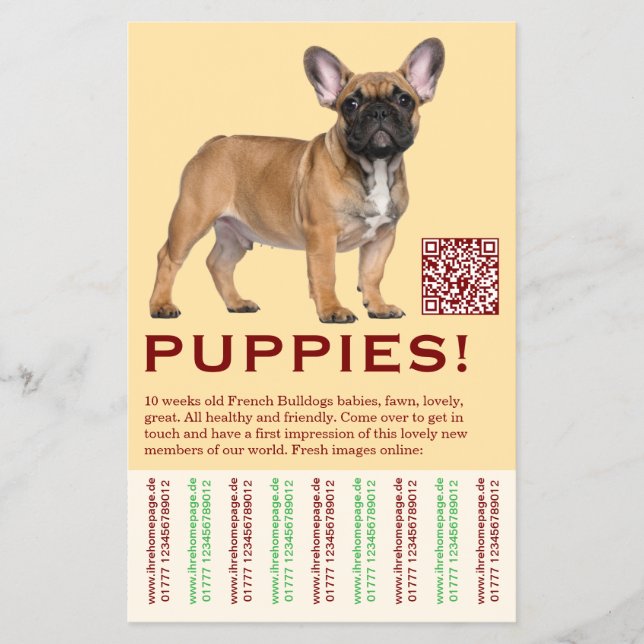To sell Frenchies Puppy Flyer (Front)