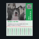 To sell Puppies Flyer<br><div class="desc">And still no flyer? Or no idea, where there are one? Here for example, in different formats comes he can be adapted immediately then to you. Back can be arranged with a photo or the Doggenmuster shown, then the flyer is not Schandfleck if it on glass area is attached, where...</div>