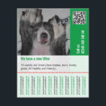 To sell Puppies Flyer<br><div class="desc">And still no flyer? Or no idea, where there are one? Here for example, in different formats comes he can be adapted immediately then to you. Back can be arranged with a photo or the Doggenmuster shown, then the flyer is not Schandfleck if it on glass area is attached, where...</div>