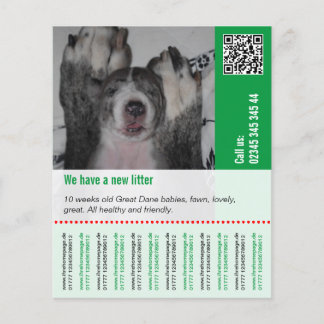 To sell Puppies Flyer