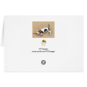 To Someone Special!...Card. Cards (Back Horizontal)