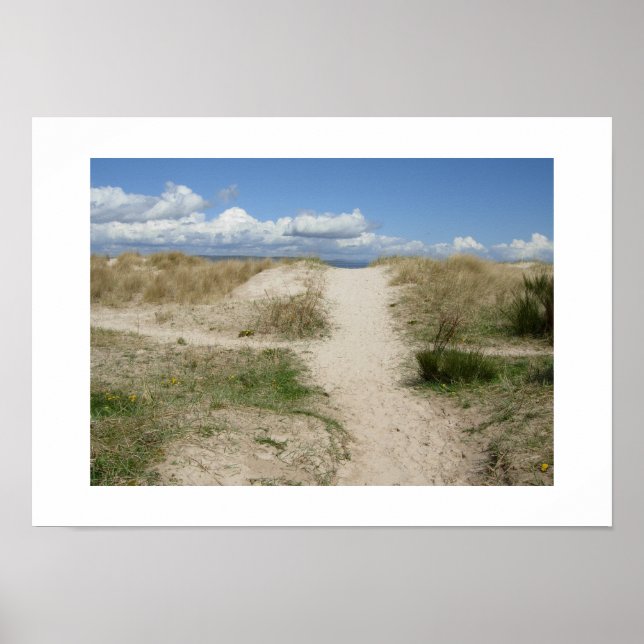 To the Beach Poster (Front)
