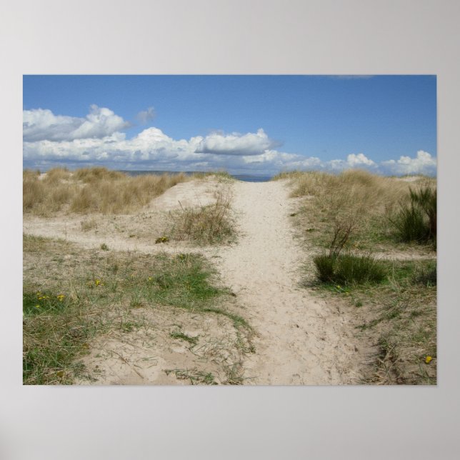 To the Beach Poster (Front)