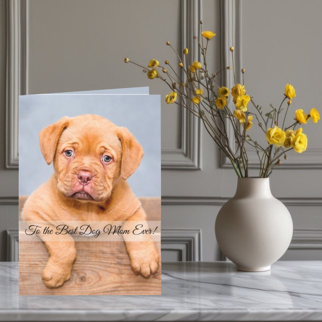 To the Best Dog Mom Ever Custom Photo & Text Holiday Card (Creator Uploaded)