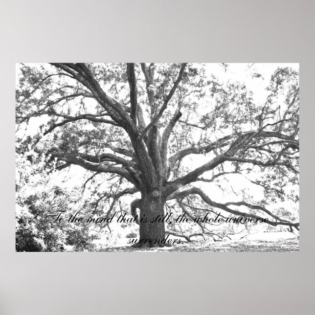 To the mind that is still. poster (Front)