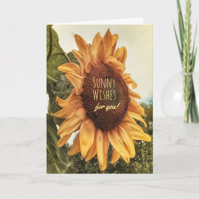 To the Sunshine in My Life Birthday Card (Front)