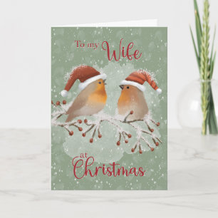 To Wife at Christmas Birds with Santa Hats on Snow Card
