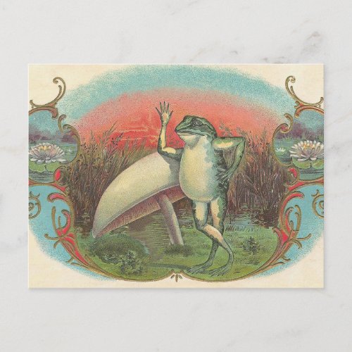 Toad and Mushroom Postcard