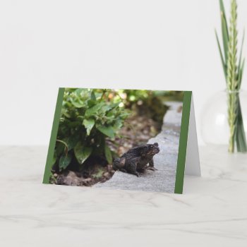 Toad Birthday Card by Considernature at Zazzle