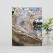 Toad face (Standing Front)