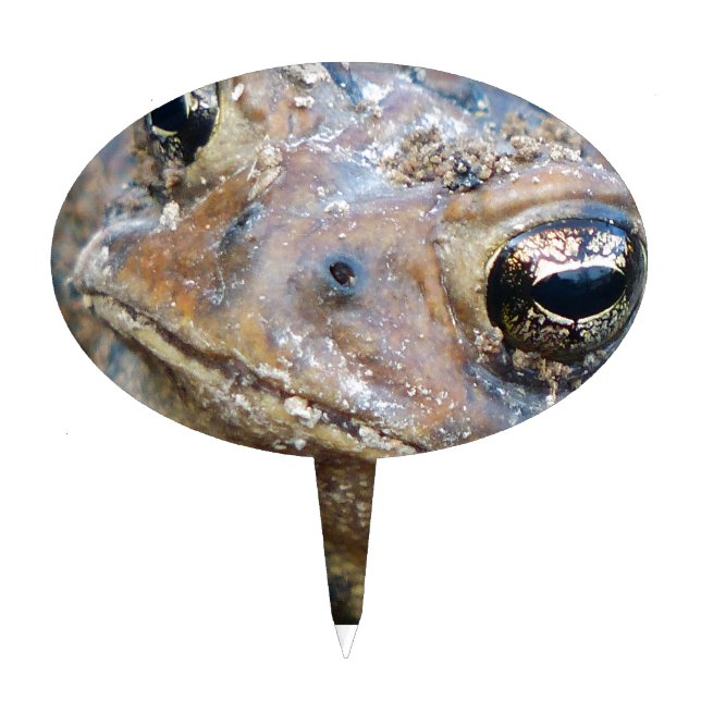 Toad face cake topper (Front)
