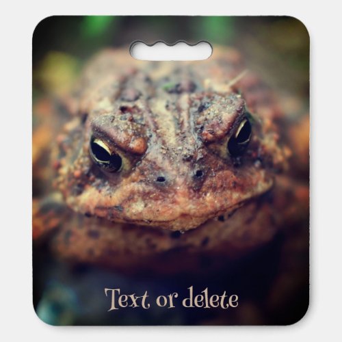 Toad Face Up Close Personalized Seat Cushion
