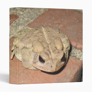 Toad Frog Binder