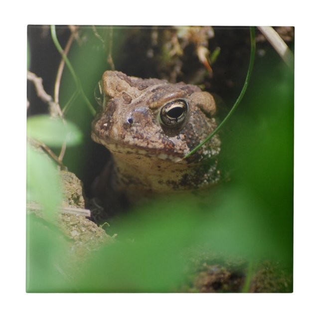 Toad In a Hole tile (Front)