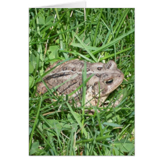 Toad in the Grass Cards