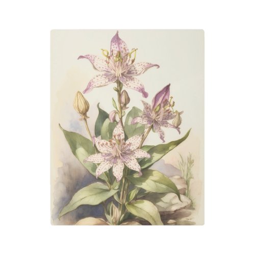 Toad Lily Tranquility Metal Print