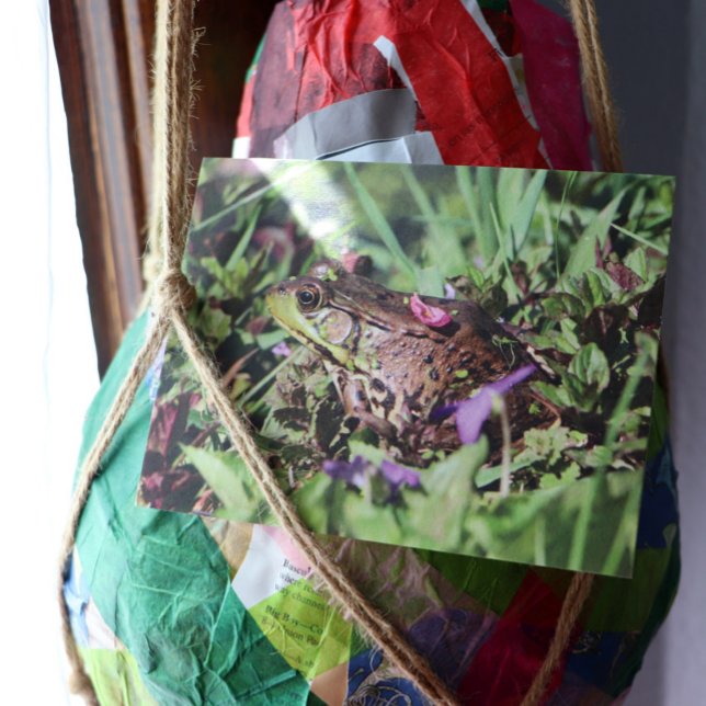 Toad Love Postcard (Creator Uploaded)