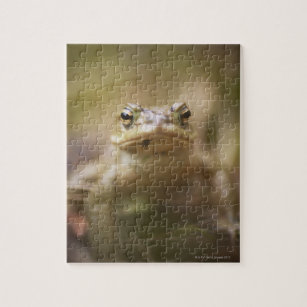 Frog and Toad Cross Stitch Book Japanese Craft Book 