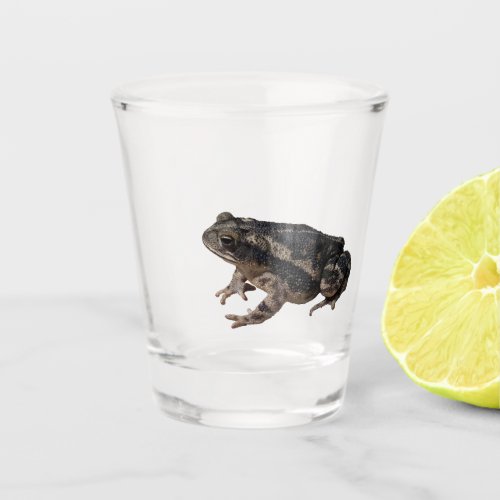 Toad Shot Glass