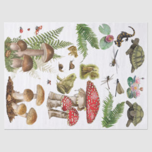 Toad stool decoupage paper woodland elements