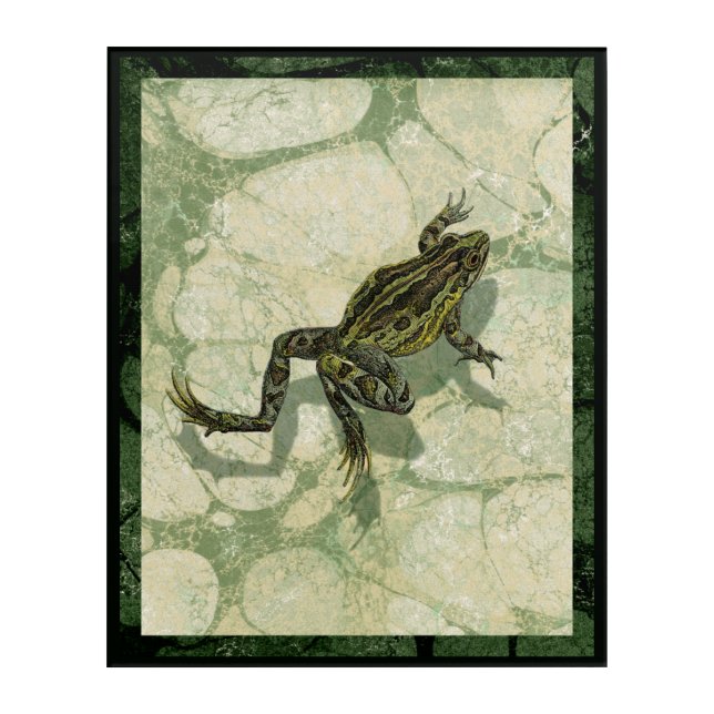 Toad Swinning in the Water Acrylic Print (Front)
