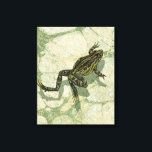 Toad Swinning in the Water Canvas Print<br><div class="desc">Vision Studio is using the giclée (French for “to spray”) technique in this art piece. It makes it unique and the different shades of green emphasize the peacefulness on this image. Choose this piece of artwork for your next Zazzle product.</div>