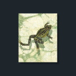 Toad Swinning in the Water Canvas Print<br><div class="desc">Vision Studio is using the giclée (French for “to spray”) technique in this art piece. It makes it unique and the different shades of green emphasize the peacefulness on this image. Choose this piece of artwork for your next Zazzle product.</div>