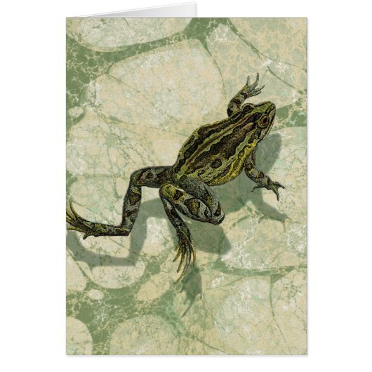 Toad Swinning in the Water Cards (Front)