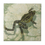 Toad Swinning in the Water Ceramic Tile<br><div class="desc">Vision Studio is using the giclée (French for “to spray”) technique in this art piece. It makes it unique and the different shades of green emphasize the peacefulness on this image. Choose this piece of artwork for your next Zazzle product.</div>