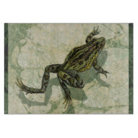 Toad Swinning in the Water