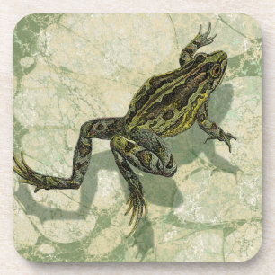 Toad Swinning in the Water Drink Coaster