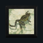 Toad Swinning in the Water Gift Box<br><div class="desc">Vision Studio is using the giclée (French for “to spray”) technique in this art piece. It makes it unique and the different shades of green emphasize the peacefulness on this image. Choose this piece of artwork for your next Zazzle product.</div>
