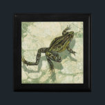 Toad Swinning in the Water Gift Box<br><div class="desc">Vision Studio is using the giclée (French for “to spray”) technique in this art piece. It makes it unique and the different shades of green emphasize the peacefulness on this image. Choose this piece of artwork for your next Zazzle product.</div>