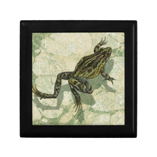 Toad Swinning in the Water Gift Box (Front)